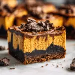 Chocolate Pumpkin Cheesecake Bars