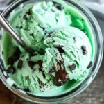 Ninja Creami Mint Chocolate Chip Ice Cream
